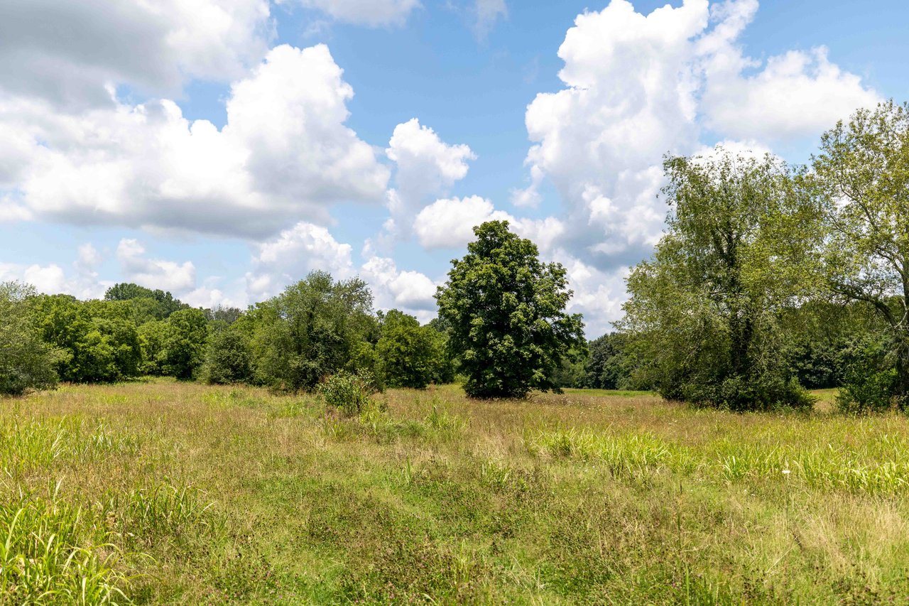 Open grassy homesite bordered by mature trees beneath a bright, cloud-filled sky.