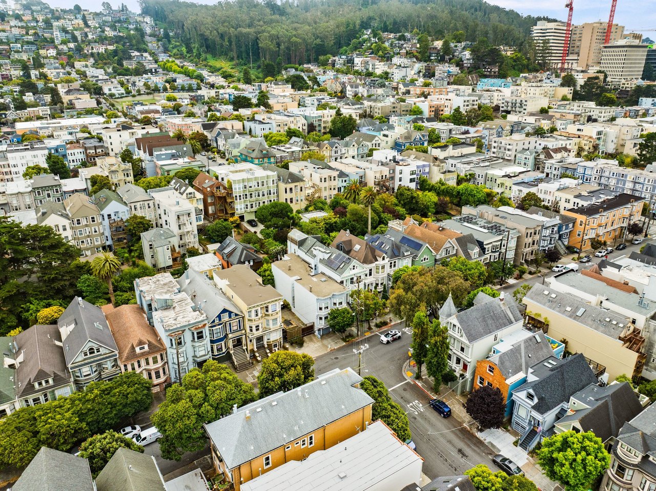 Aerial view of the Cole Valley neighborhood in San Francisco, California