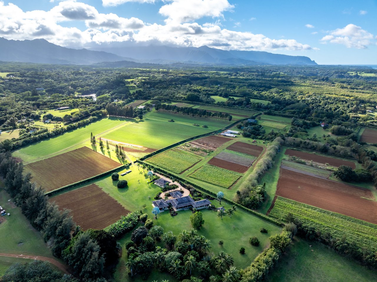 4469 WAIAKALUA ST, KILAUEA, HI 