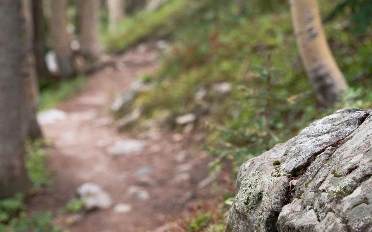 Short Loop Trails in the East Bay