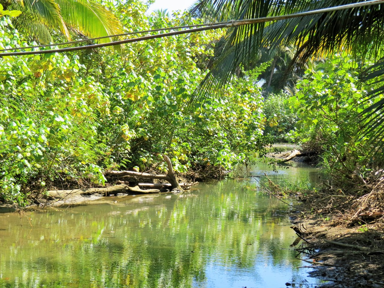 Fully equipped 4 Unit Apartment/Hotel complex 70 meters from the entrance to world-famous Marino Ballena National Park