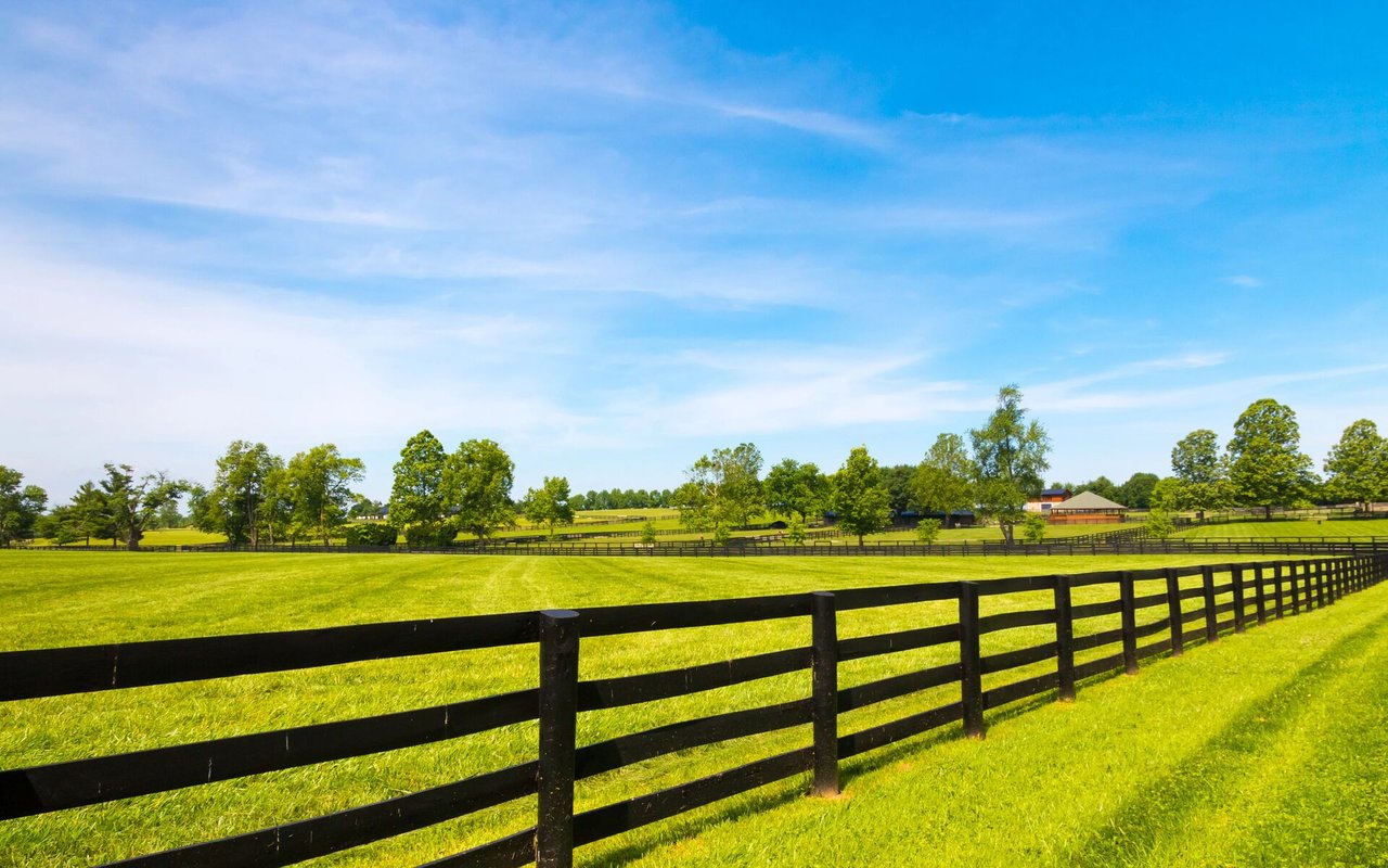 How to Sell a Farm in Wisconsin for Maximum Value: What Smart Sellers Need to Know