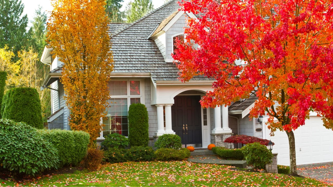 Renovate Your Home, Season by Season