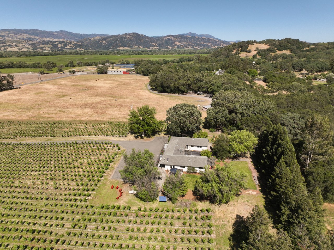 725 Lytton Station