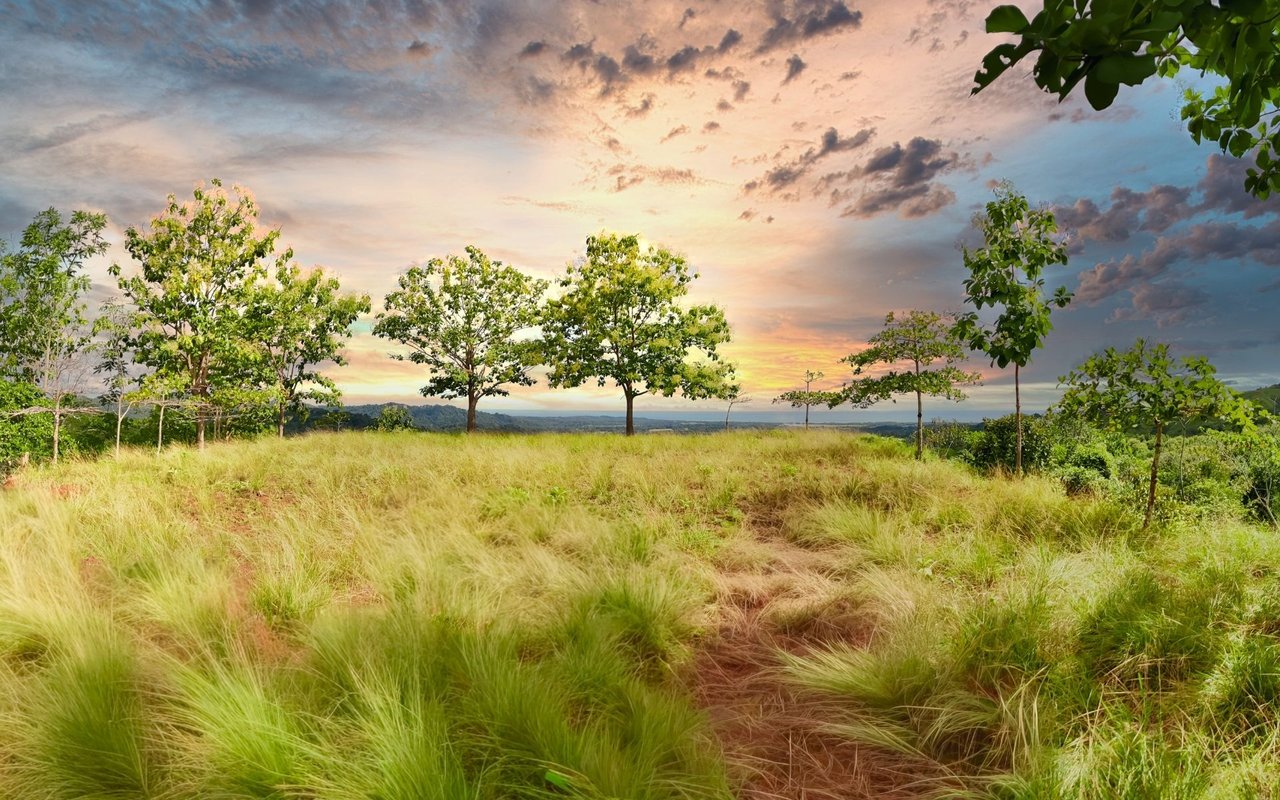 Ocean View Ridge Farm | 135-Acre Estate Near Playa Hermosa, Jacó