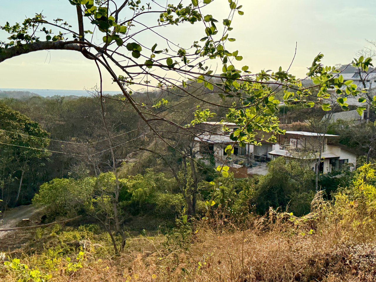 Lot 59 – La Marcela | Tranquil Jungle Ocean View Homesite in Potrero