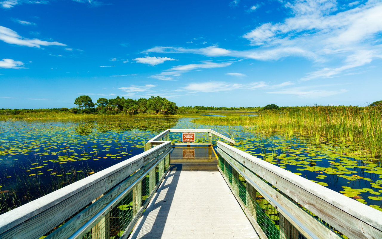 Port Saint Lucie