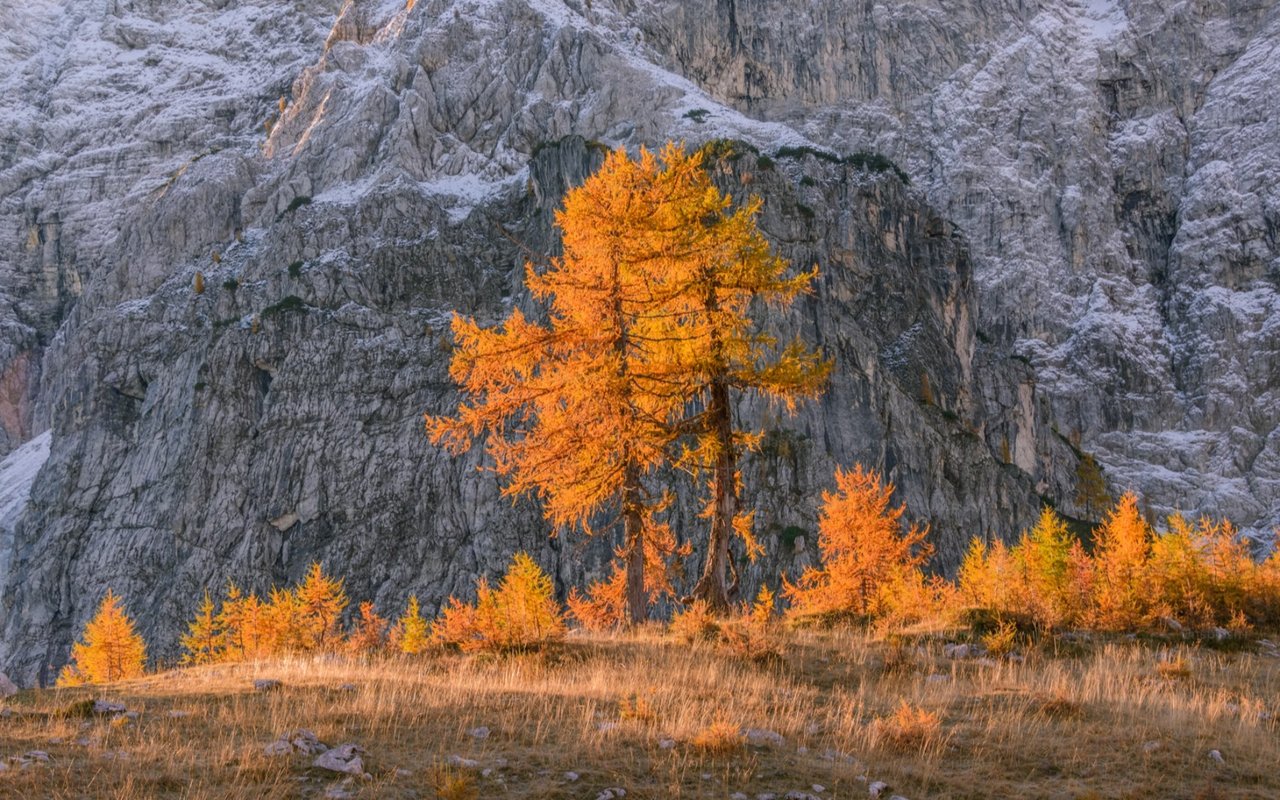Jackson Hole in the Fall: Best Leaf-Peeping & Autumn Activities