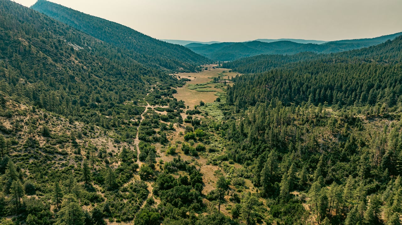 Aerial view of a meadow valley between forested mountains, with a winding track.