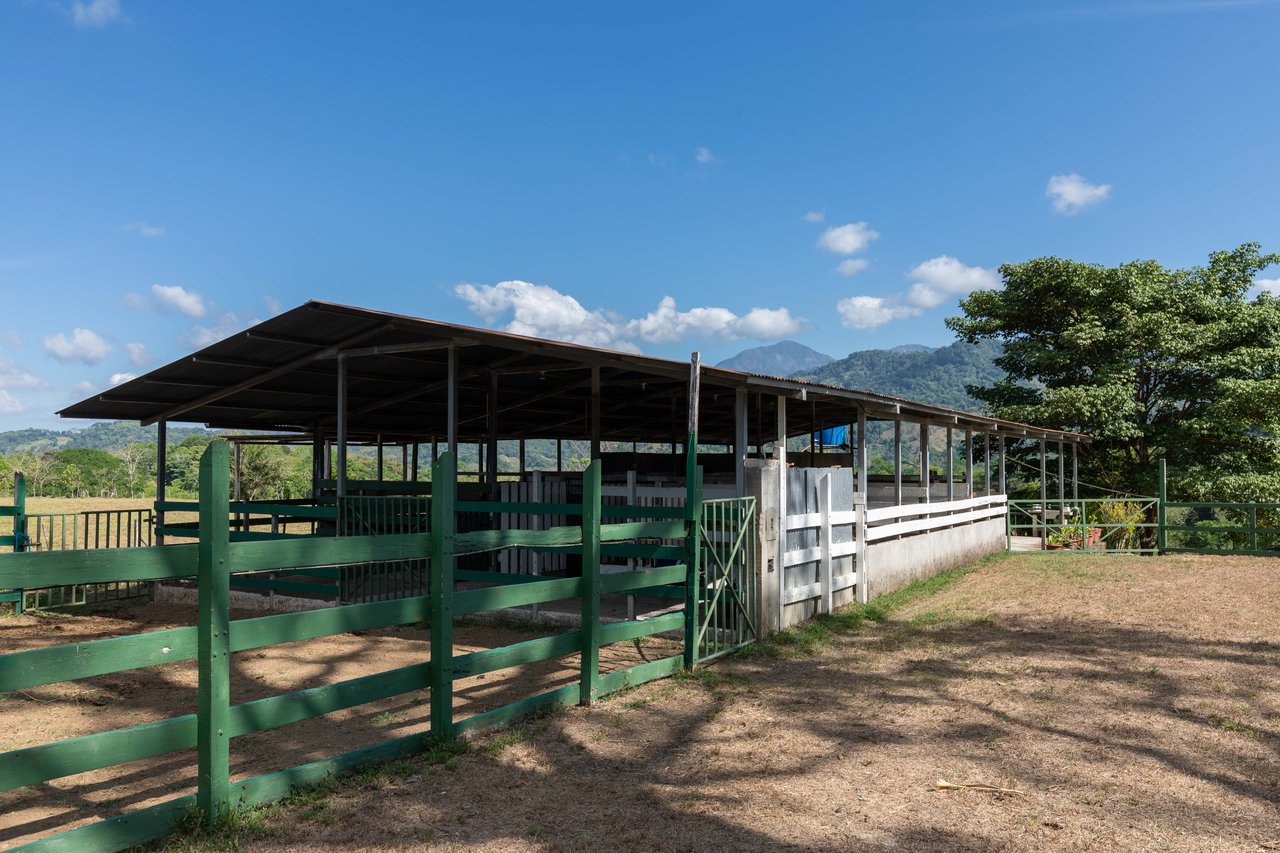 Hacienda-Style Retreat For Sale in Naranjito