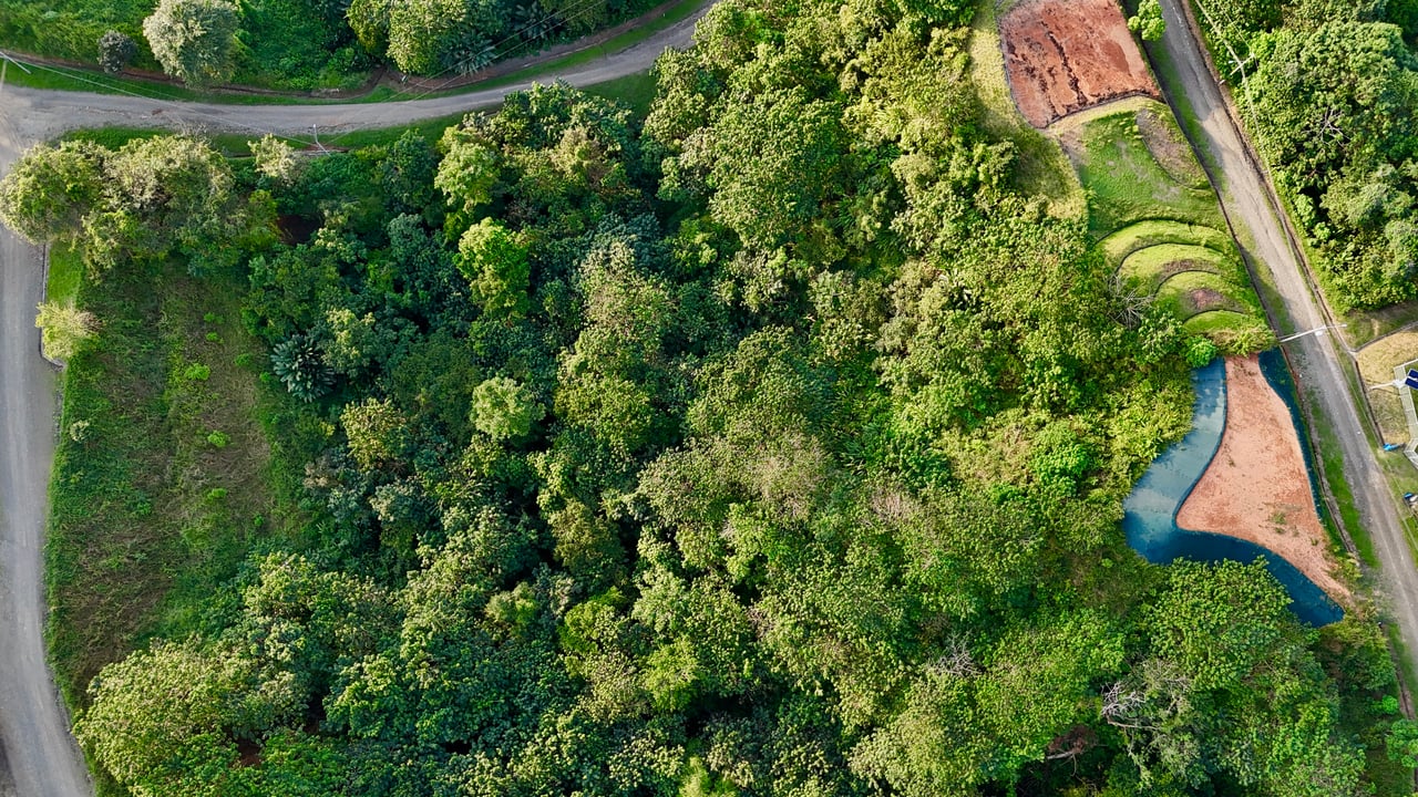 2.77-Acre Ocean View Lot in Phase 11 Ojochal – Ready to Build!