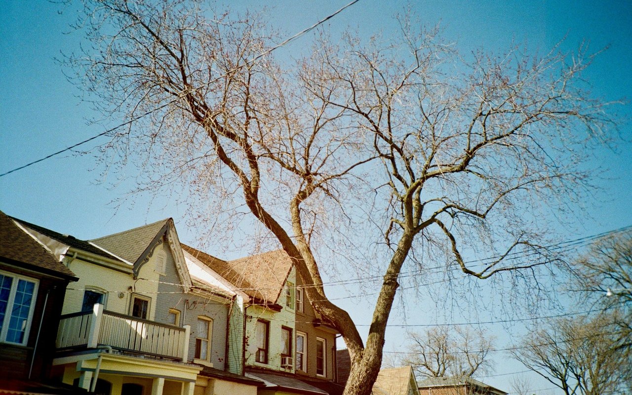 Navigating the Winter Real Estate Market