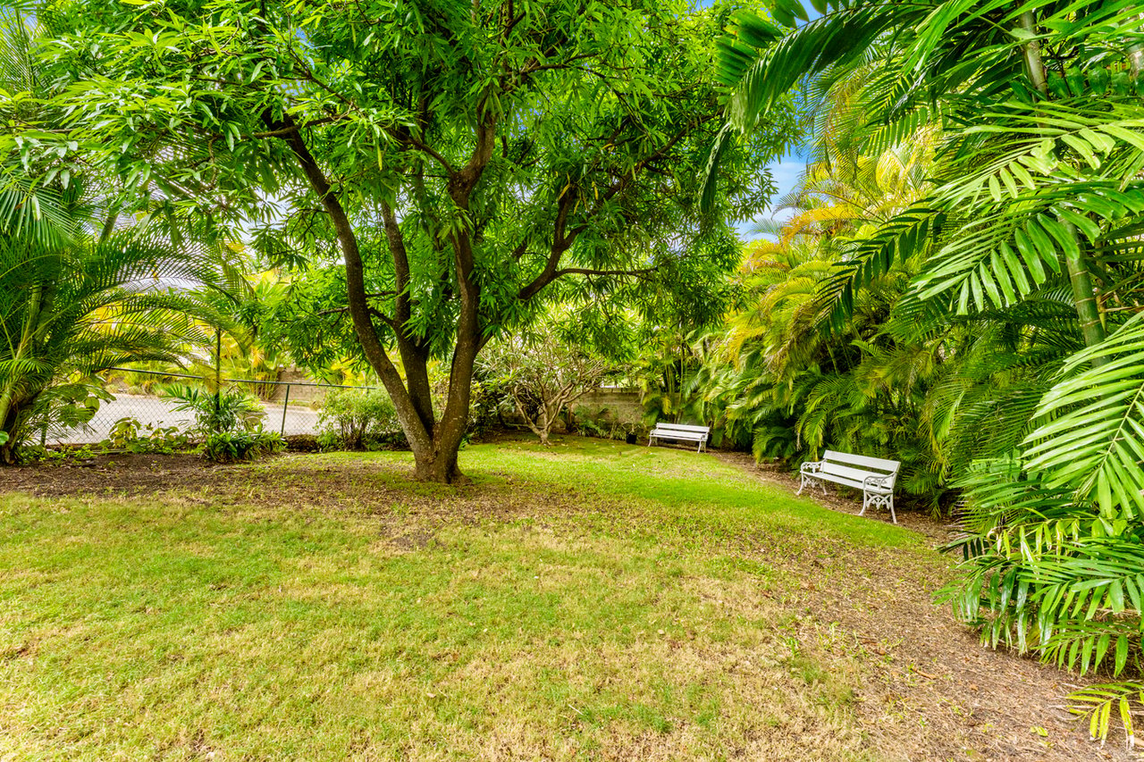Landscaped garden at Haven View with a broad lawn, mature trees, and white benches.