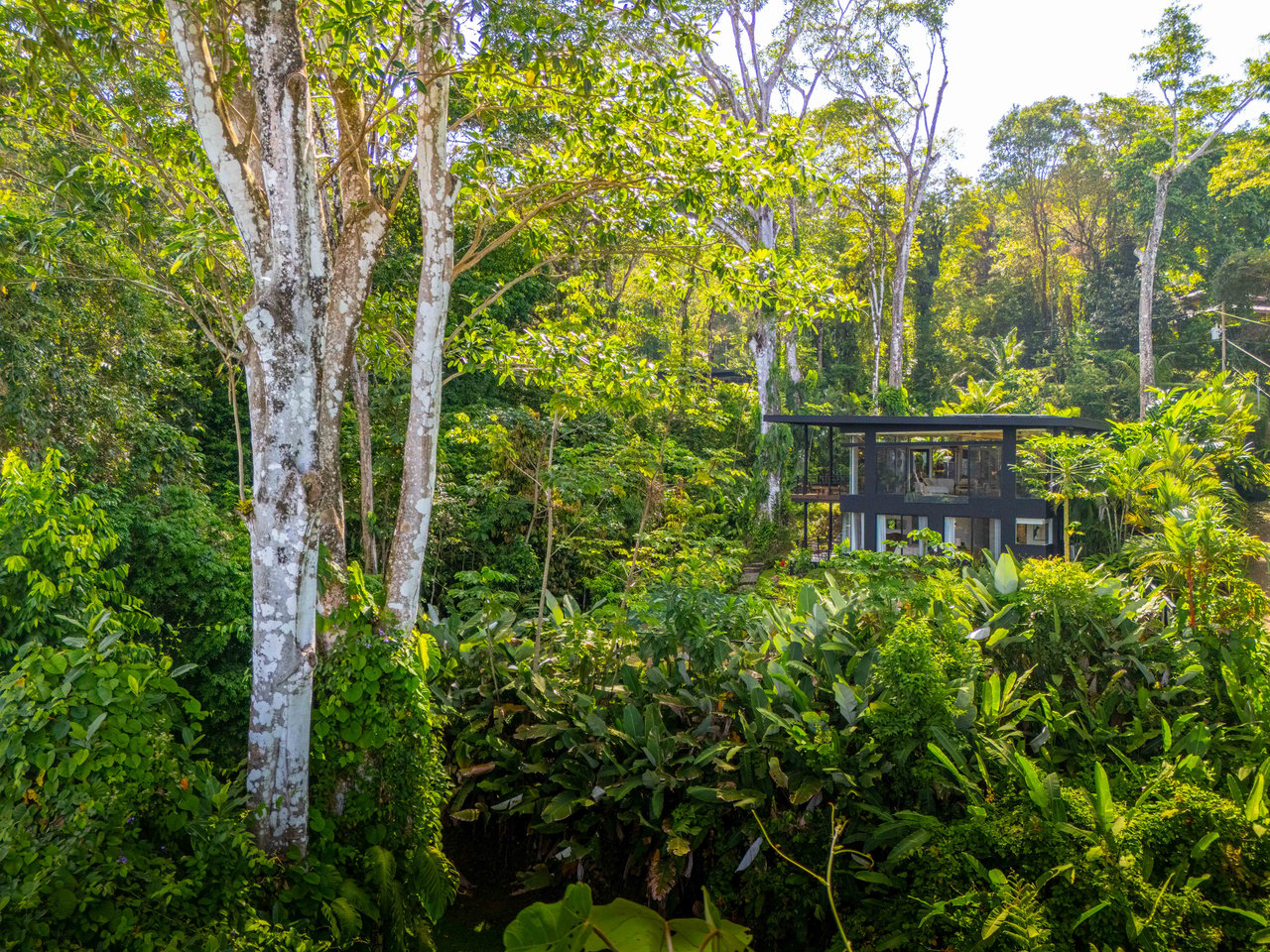 Escaleras Modern Elegance with Ocean Window Views and Jungle Tranquility, Dominical Costa Rica