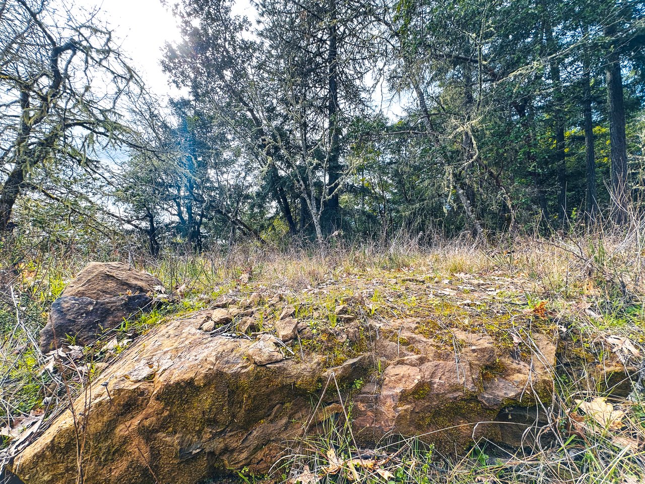 SUTHERLIN HEIGHTS