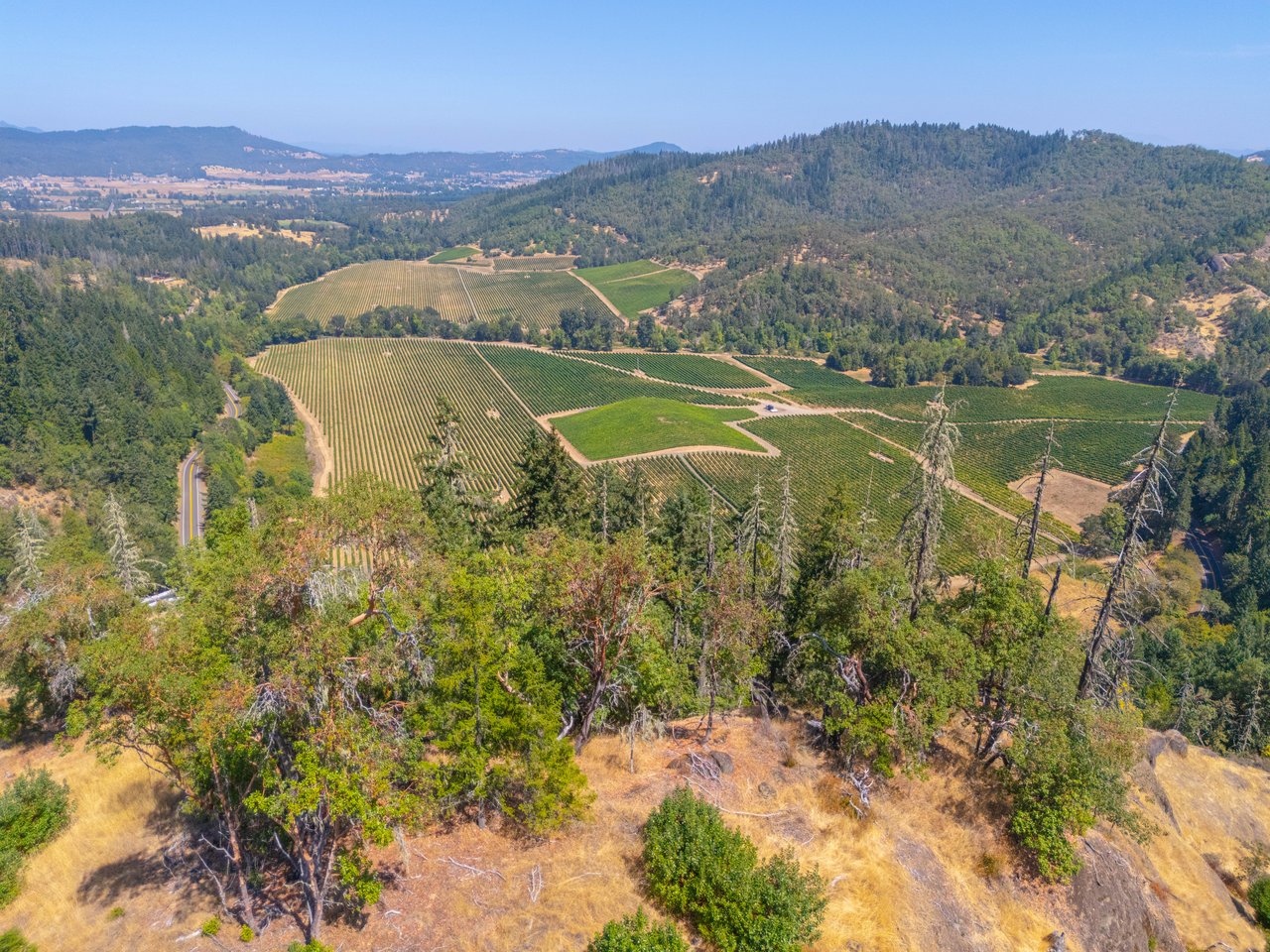 STRICKLAND BOULDER FOREST