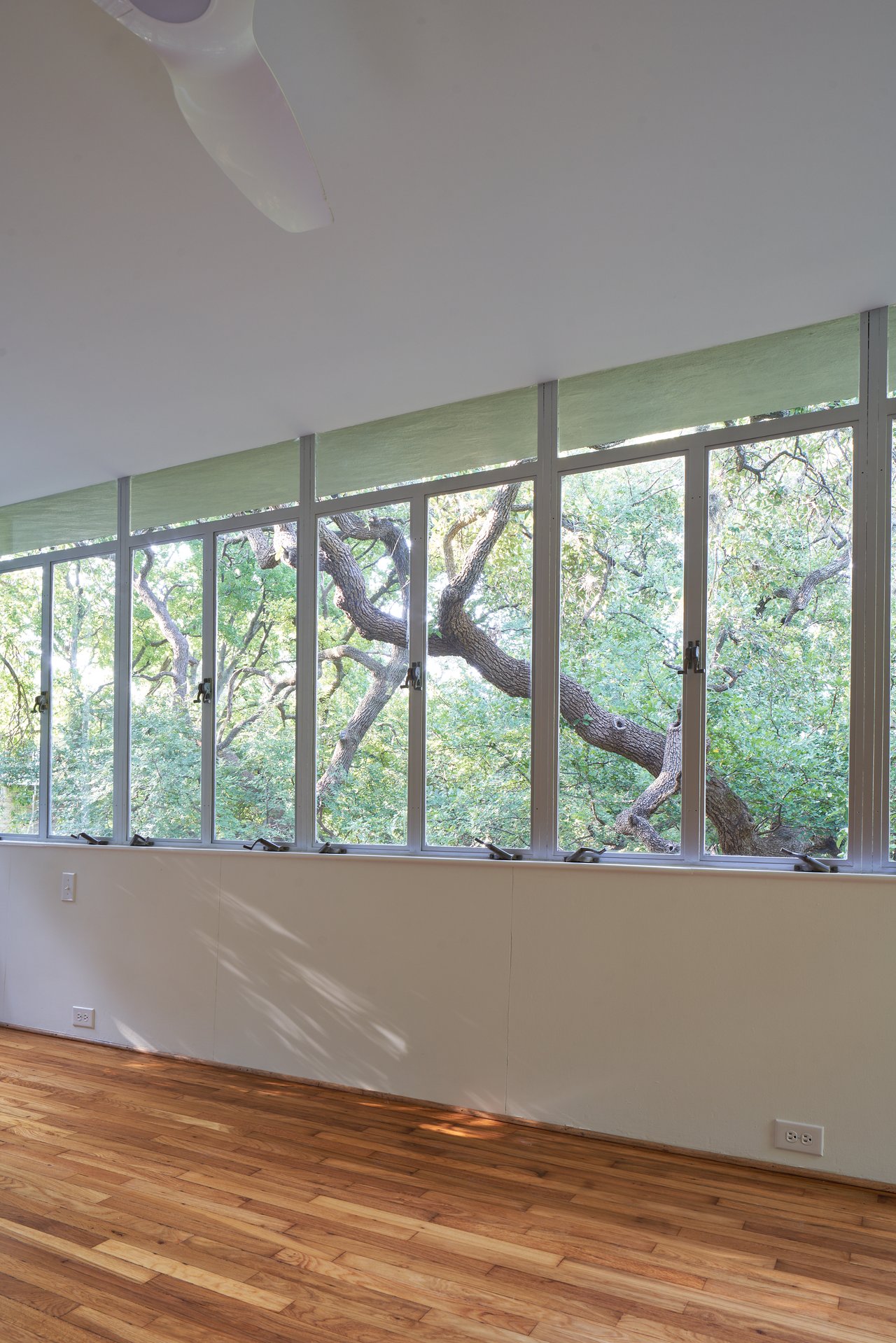 The Perch - Rare International style Architecture in Austin 
