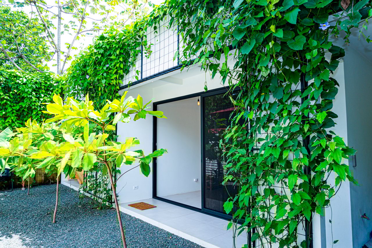 Modern Elegance Meets Tropical Lifestyle in Uvita