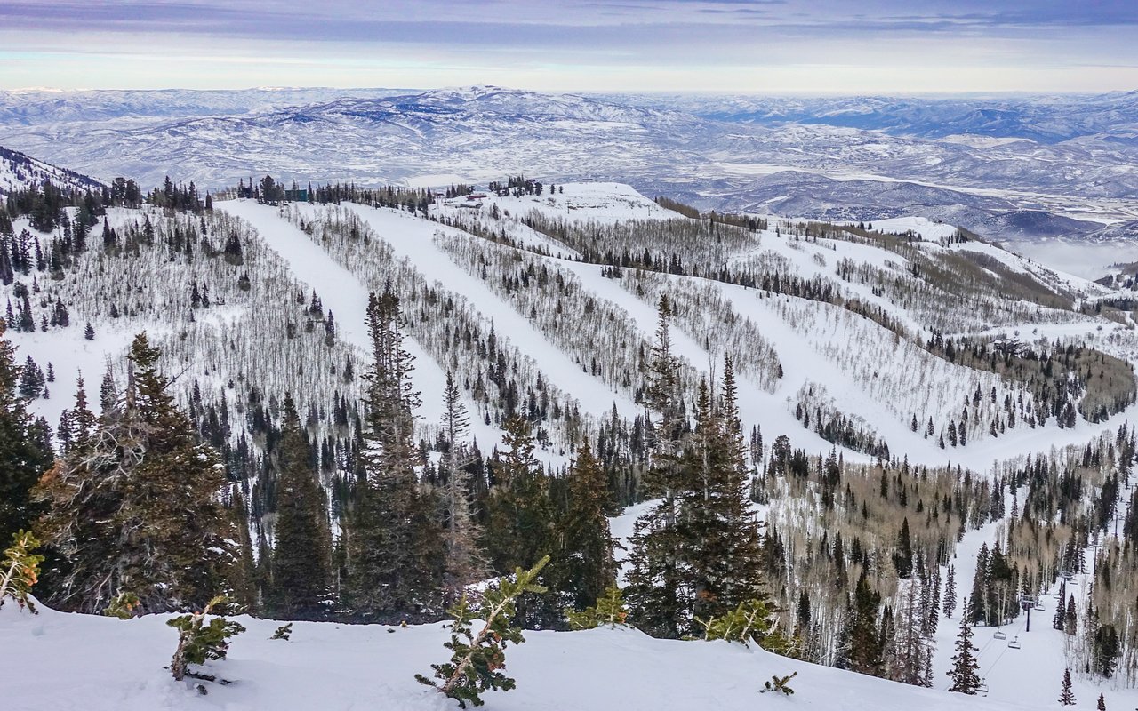 Schweitzer Mountain Properties