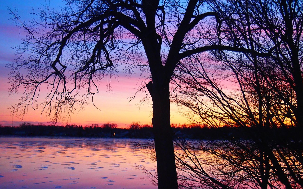 Haslett