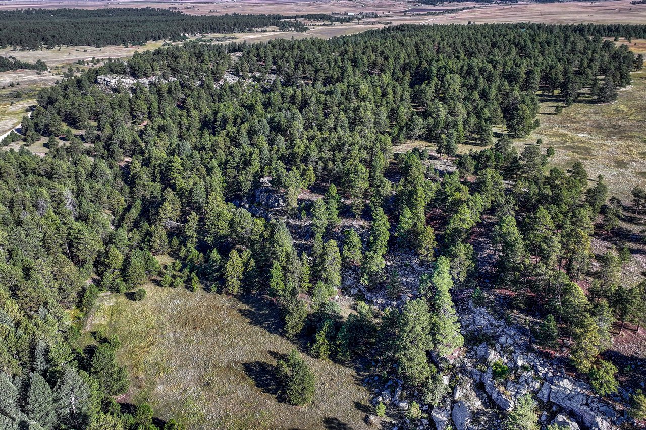 19100 County Road 17