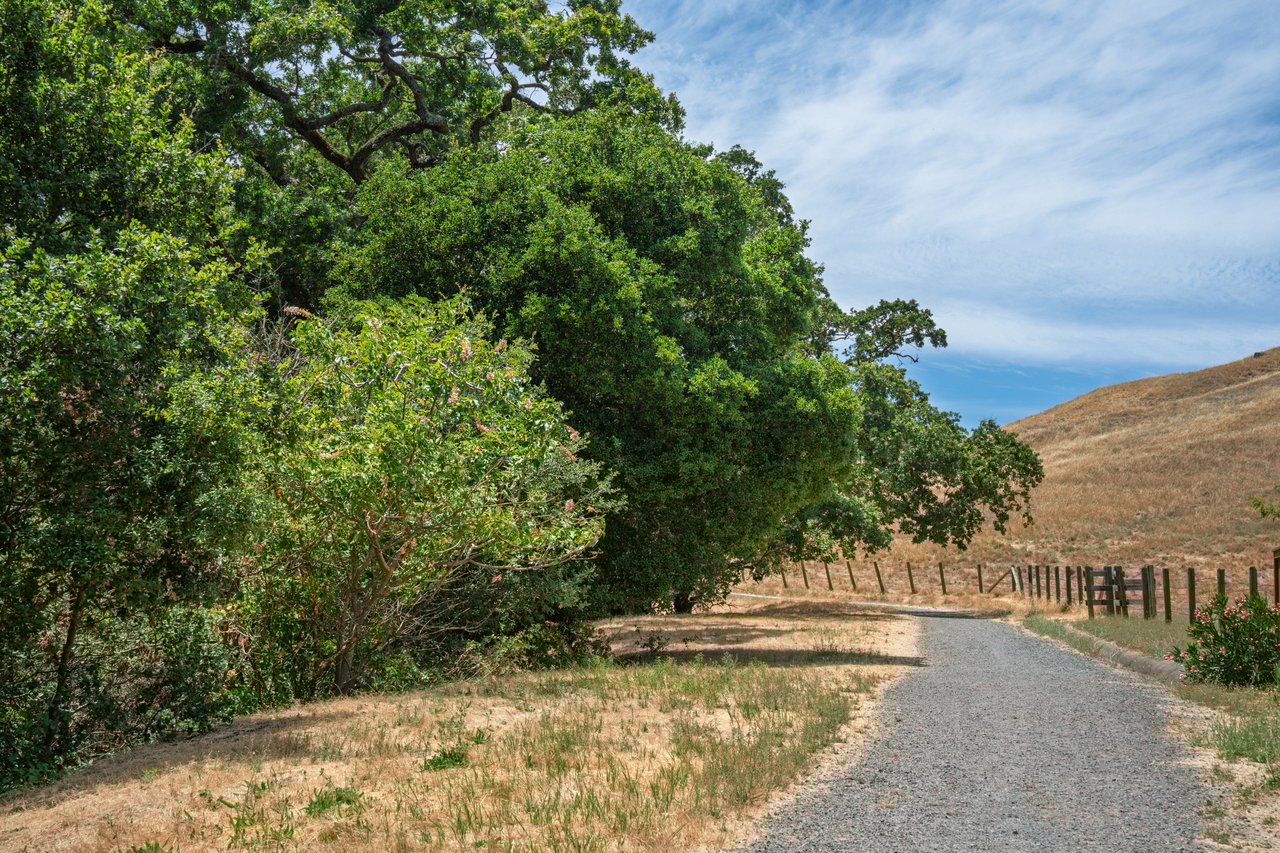 219 Butterfield Dr