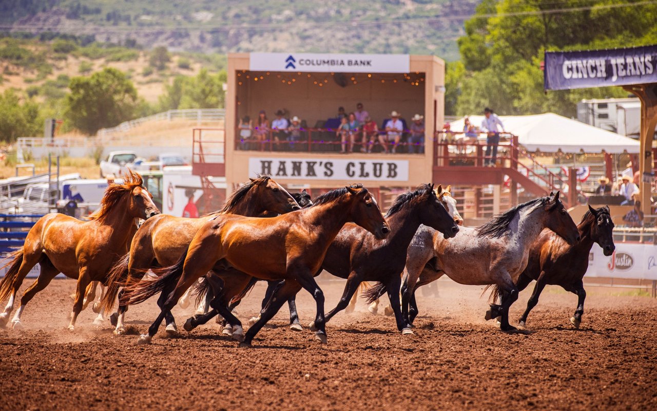 Horses run across a rodeo arena in front of a spectator stand.