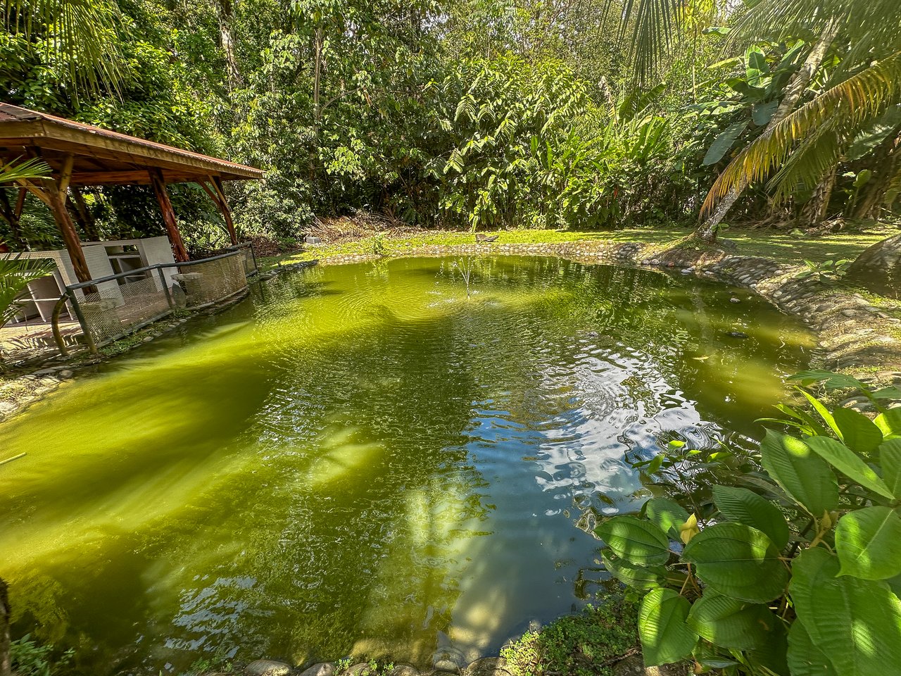 A riverfront 3-bed home on a large property In Ojochal, Costa Rica