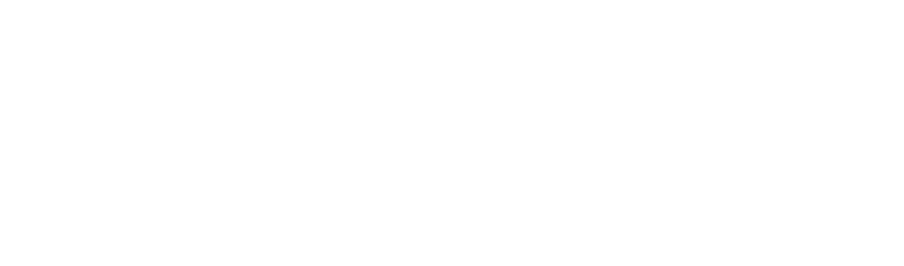 Light Logo