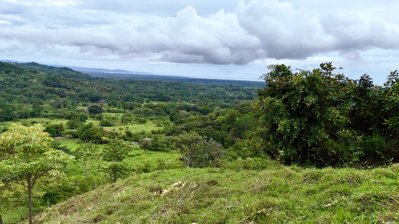 Ocean View Sanctuary in San Buenas – 4.94 Acres of Pastures & Easy Accessaccess