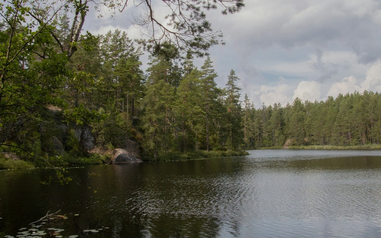 Lake edged by pine forest and rocky shoreline beneath a cloudy sky.