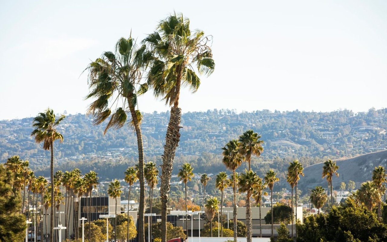 Torrance