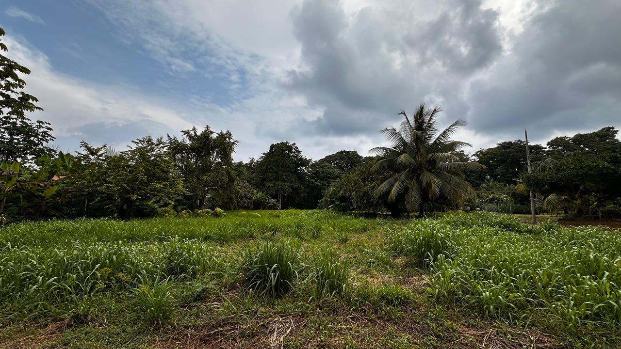 Beach Area Lot in Quiet Corner on Uvita Bahia