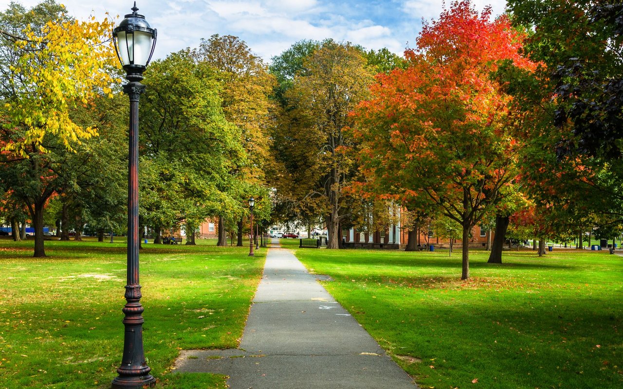 Branford