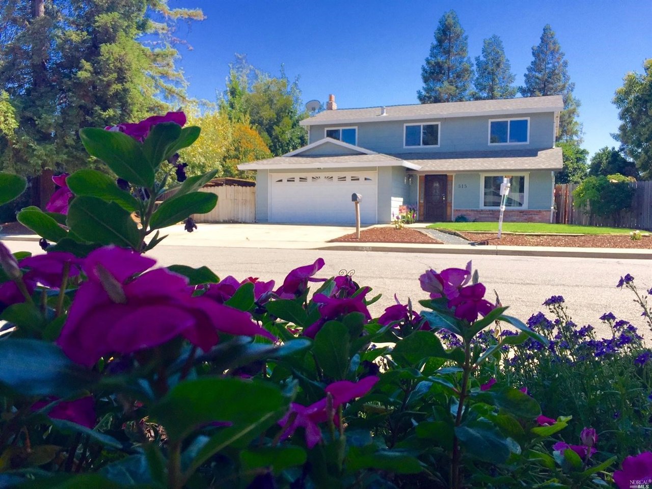 515 Calmace Dr