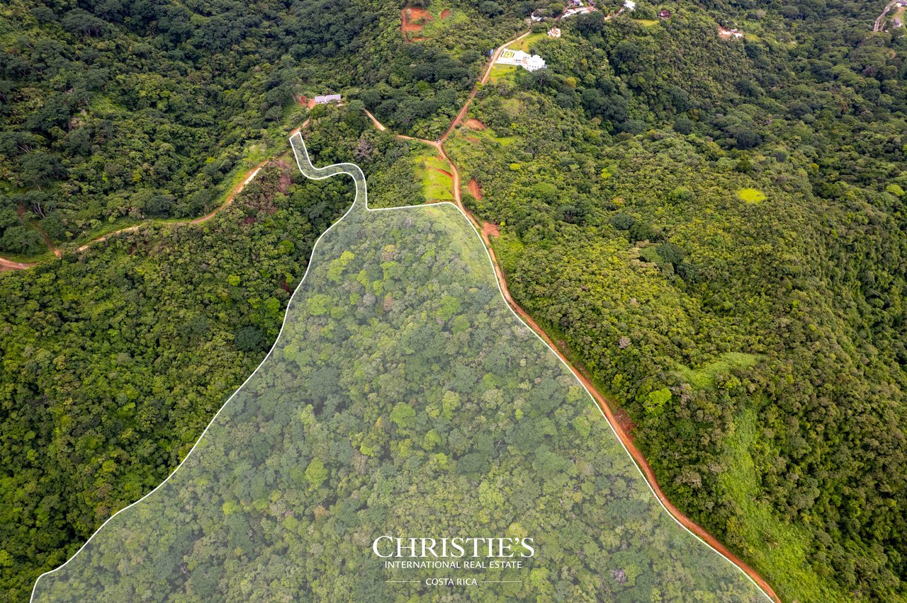 Finca El Toledo – A Signature Property for Visionary Development