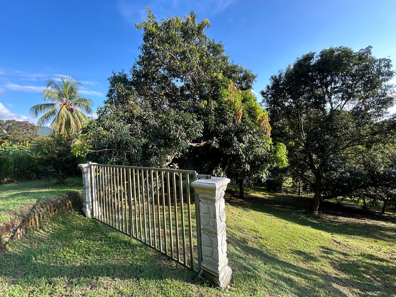 Commercial & Residential Property in Punta Mala with Producing Fruit Trees