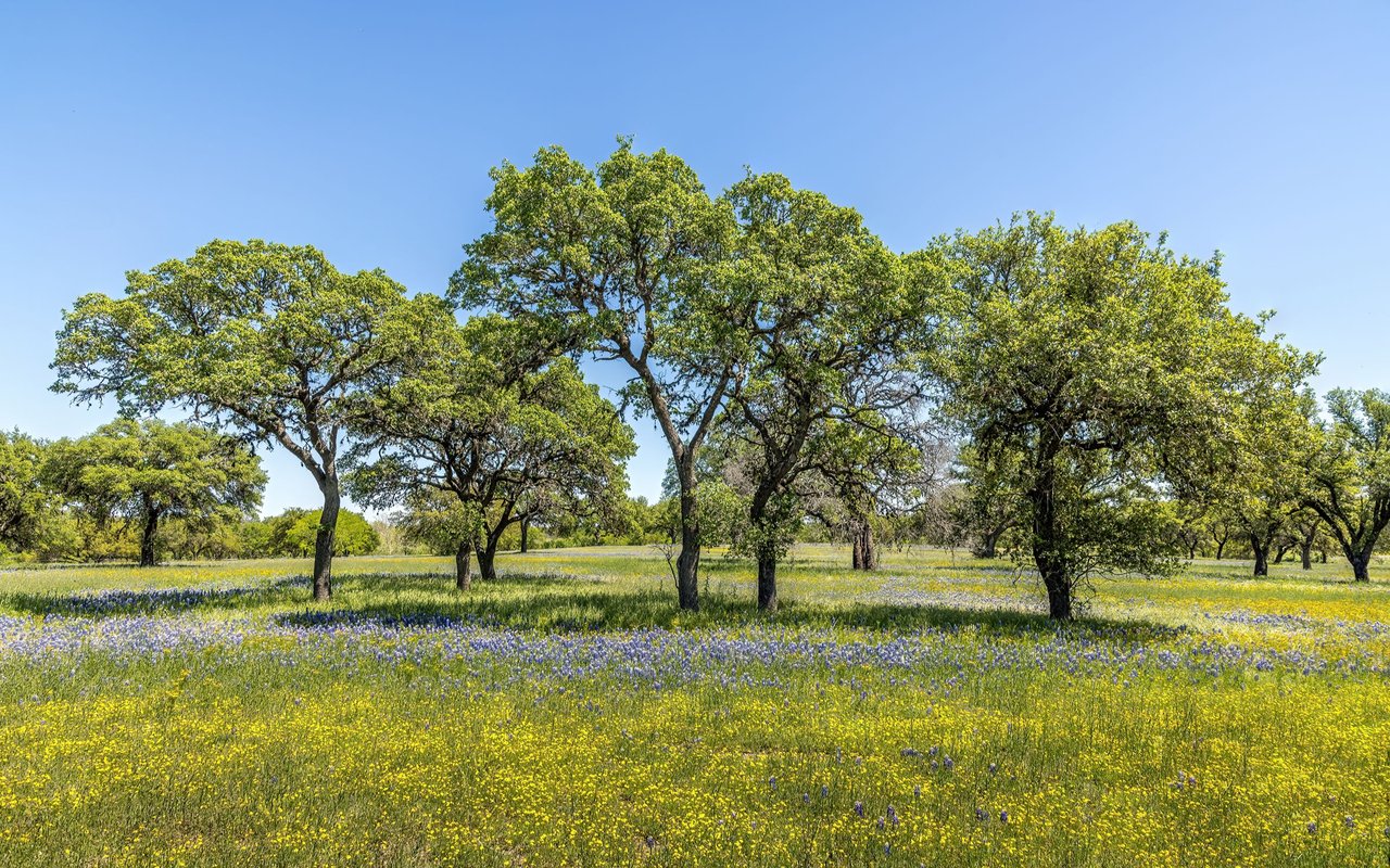 Oak Hill