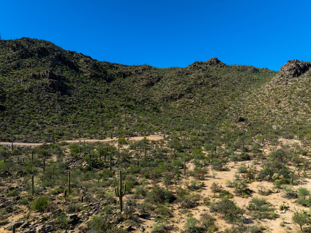 Hacienda - Lot #1 - 14460 N Old Ranch House Road