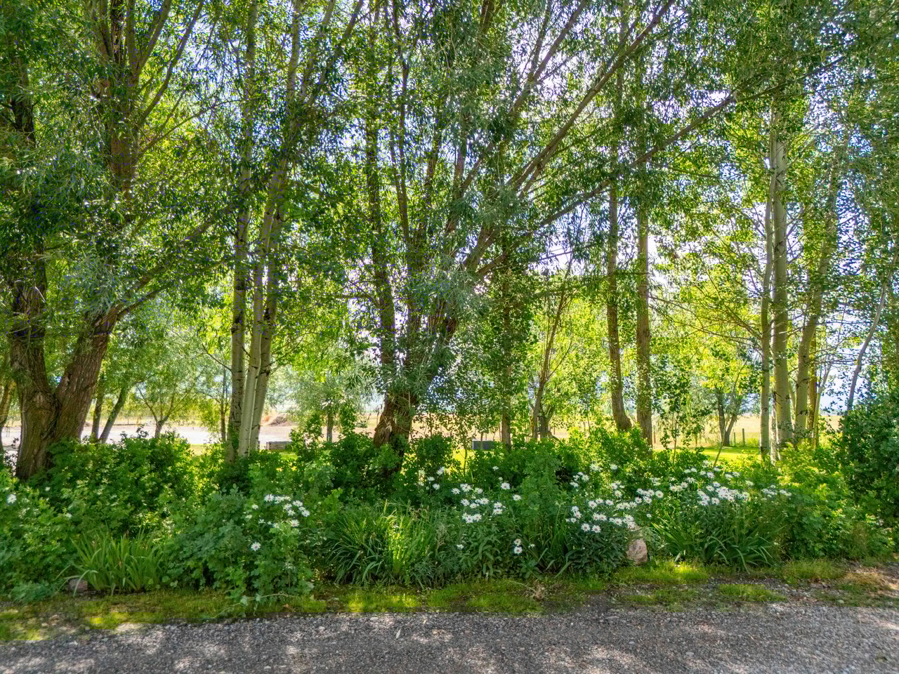 141 COUNTY ROAD 184