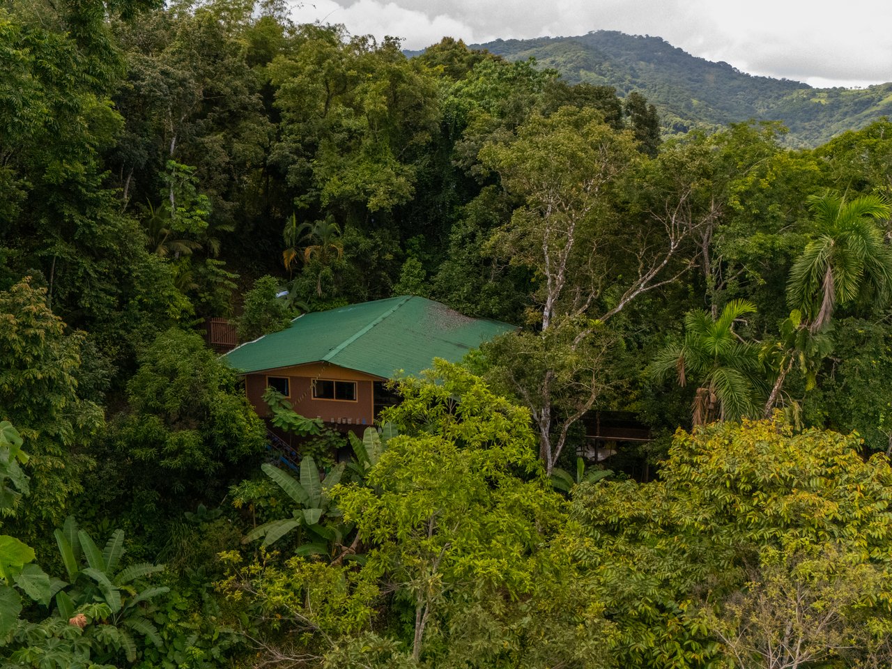 Where the Journey Begins | Private Jungle Estate at Nauyaca Waterfalls
