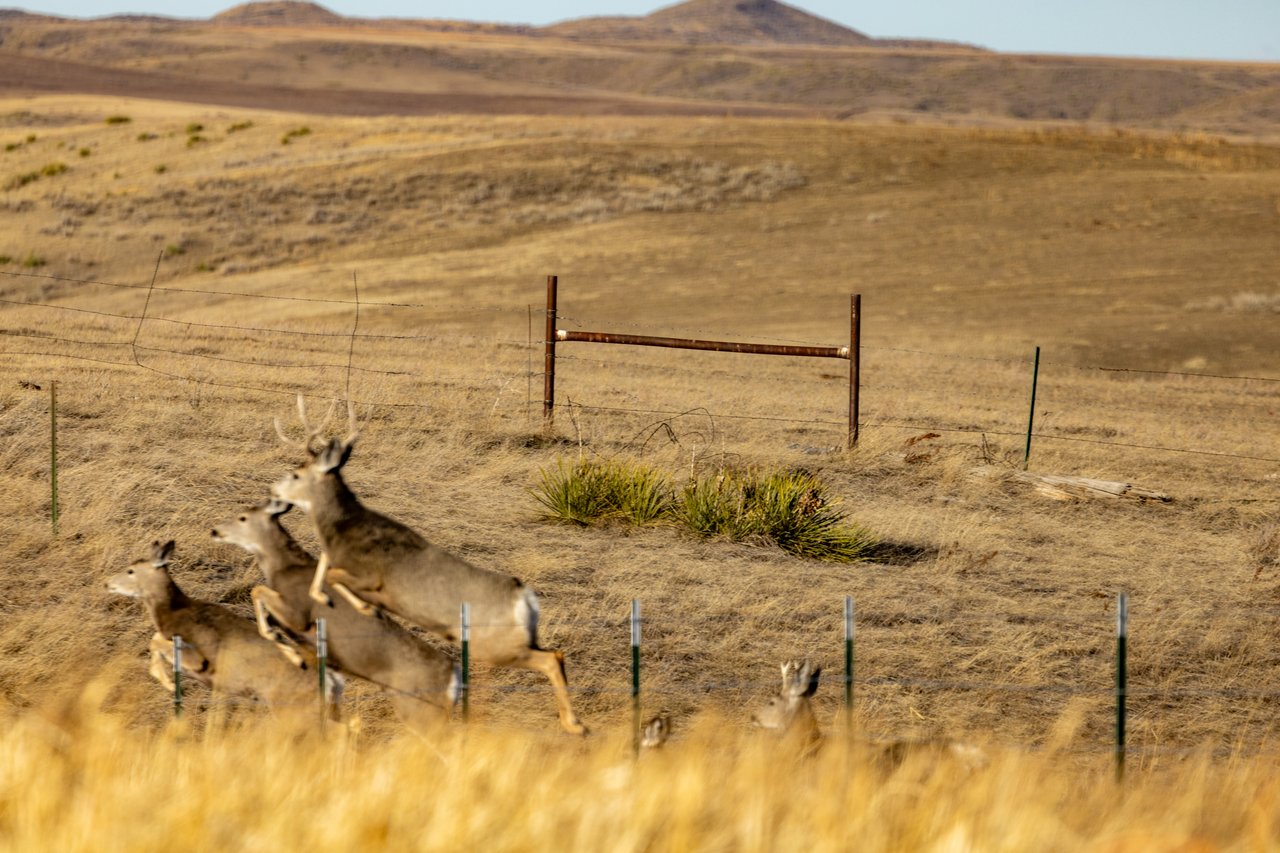 Prairie Rise Ranch