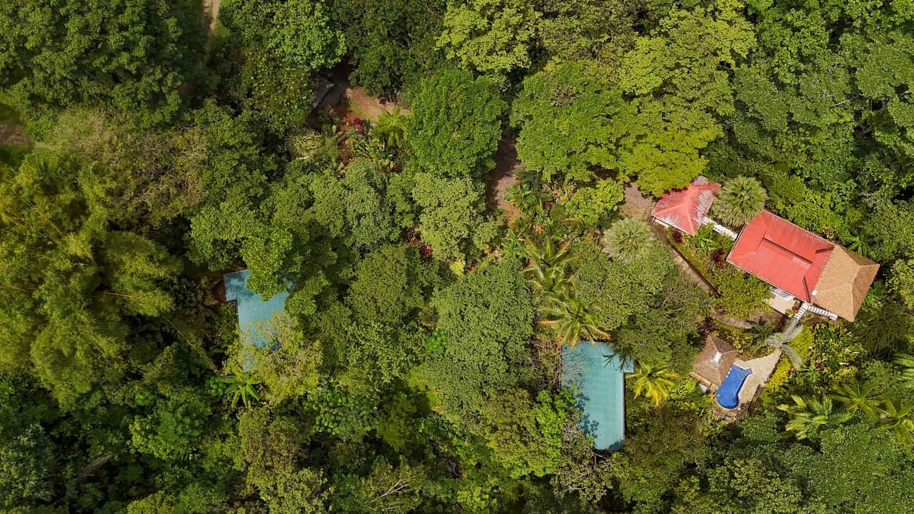 Ojochal Jungle Retreat for Sale with River, Pool, and Income-Generating Casitas