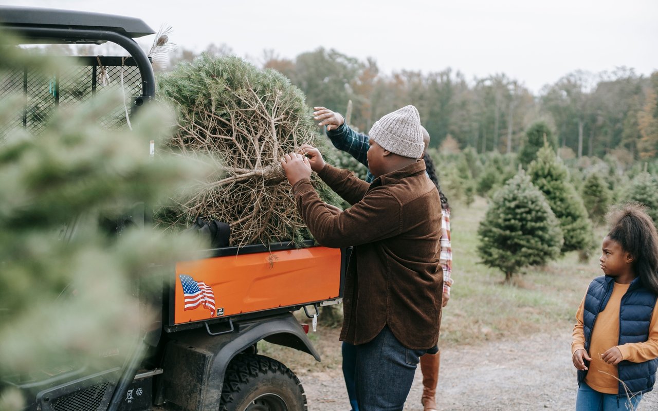 Family loading a Christmas tree onto an orange utility vehicle at a tree farm.