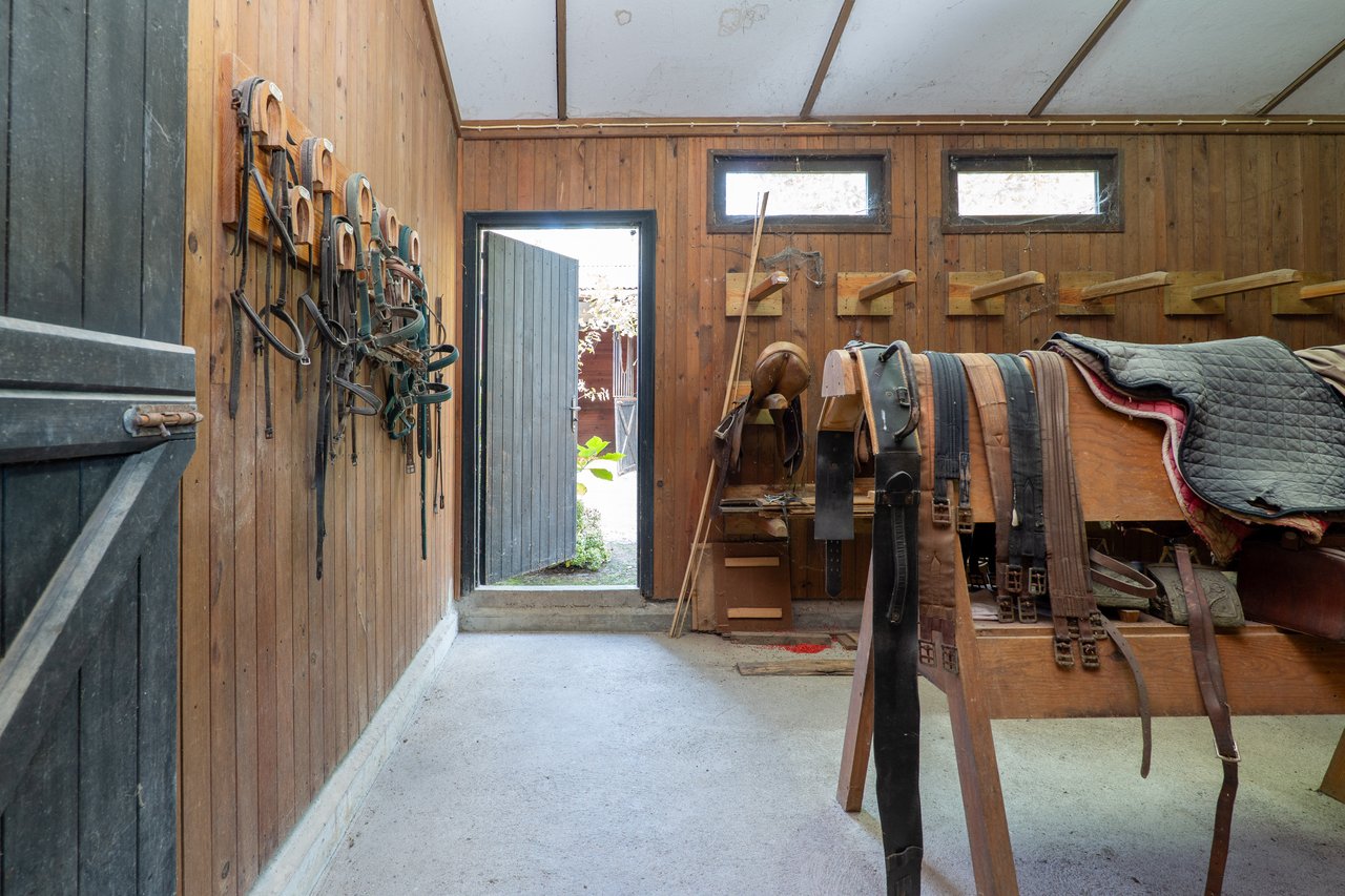 Equestrian Estate in Lavra with 13,000 m² just 800 Meters from the Beach