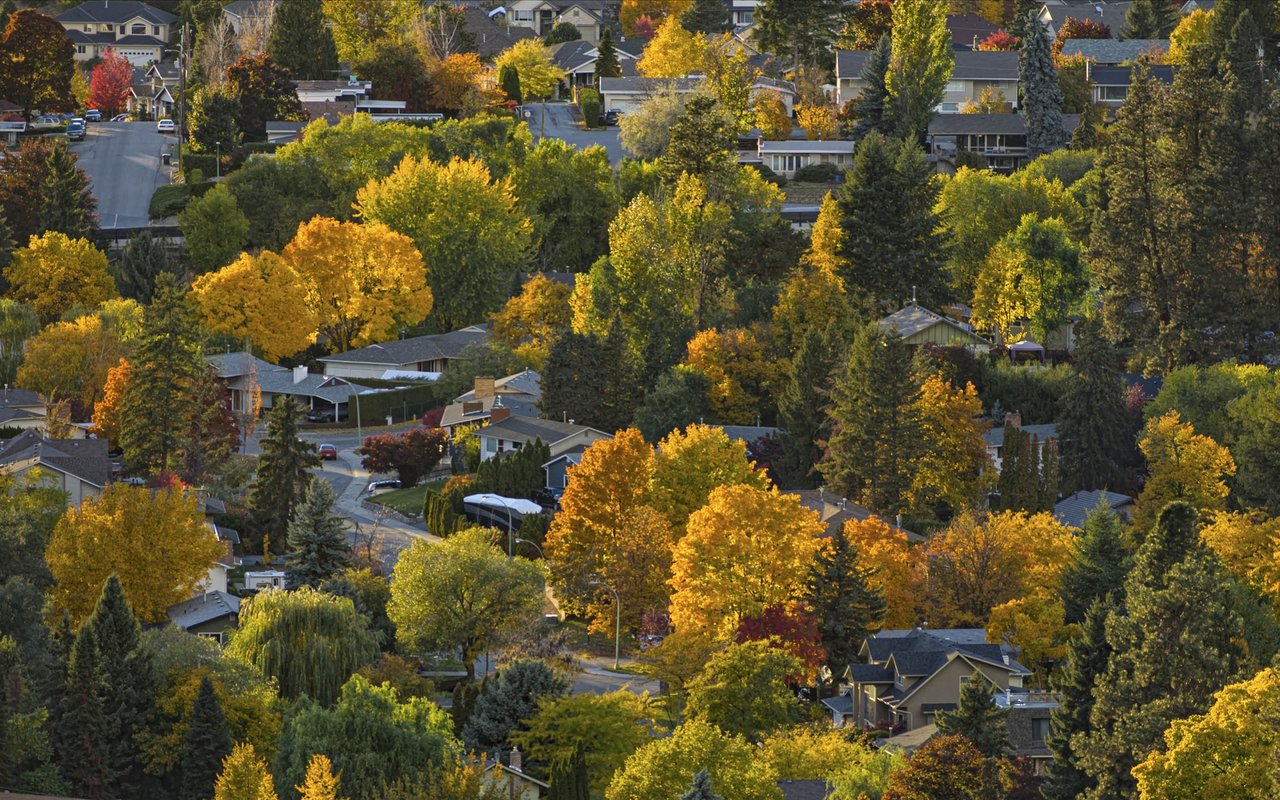 The Kelowna Rennie Advance | October 2025