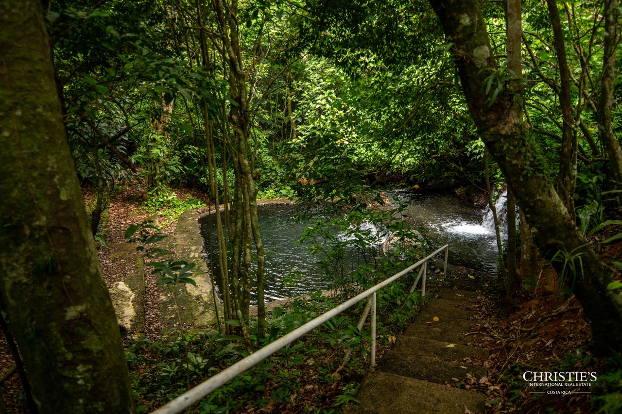 Origins Mineral: A Rare Landholding in Guanacaste’s Volcanic Highlands