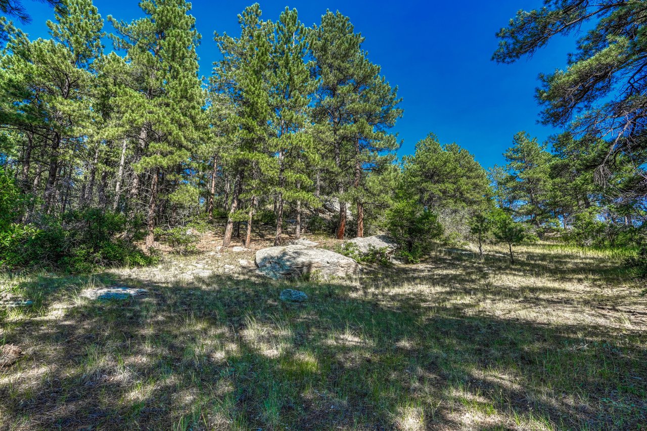 10345 Little Moon Trail