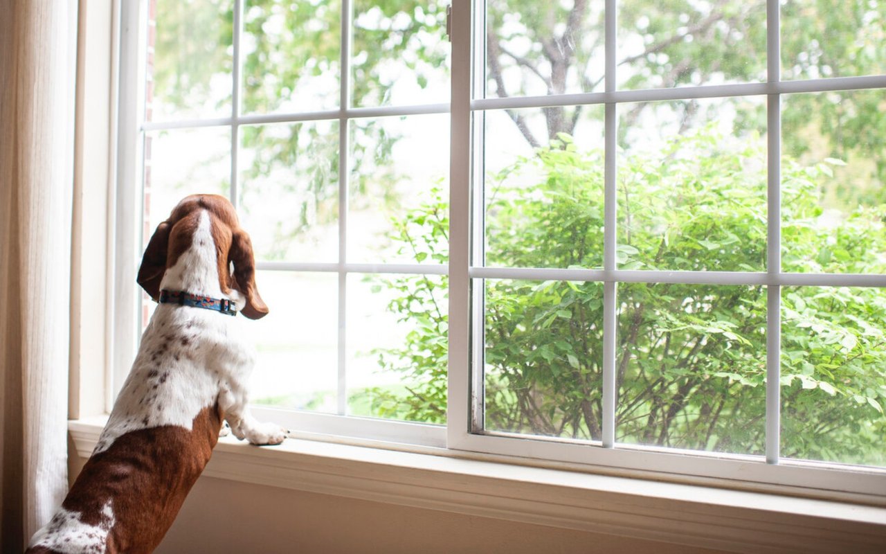Is It Time To Move on to a New Home?