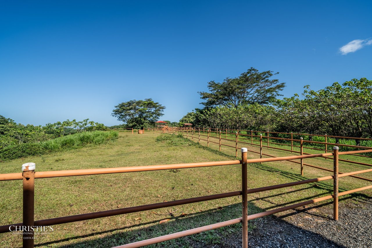 Finca Sweet Prince – A Private Equestrian Estate of Unmatched Elegance